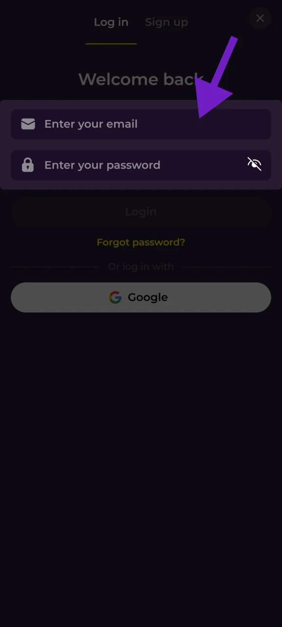Voer je gegevens in om in te loggen op je Zumospin account.